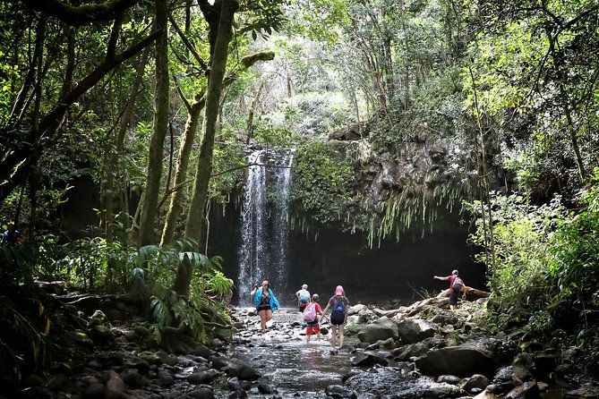 Waterfall & Rainforest Hiking Adventure with Hotel Pickup - Walking into East Maui’s rainforest