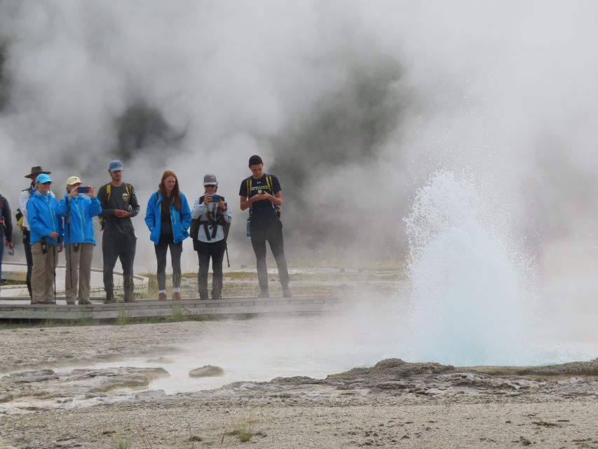 Yellowstone: Upper Geyser Basin Hike with Lunch - Key points to know before you book