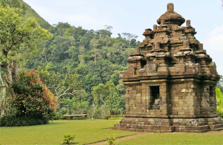 Yogyakarta: Selogriyo Temple Tour & Java Rice Terrace Trek - Coffee, tea, and local food along the way