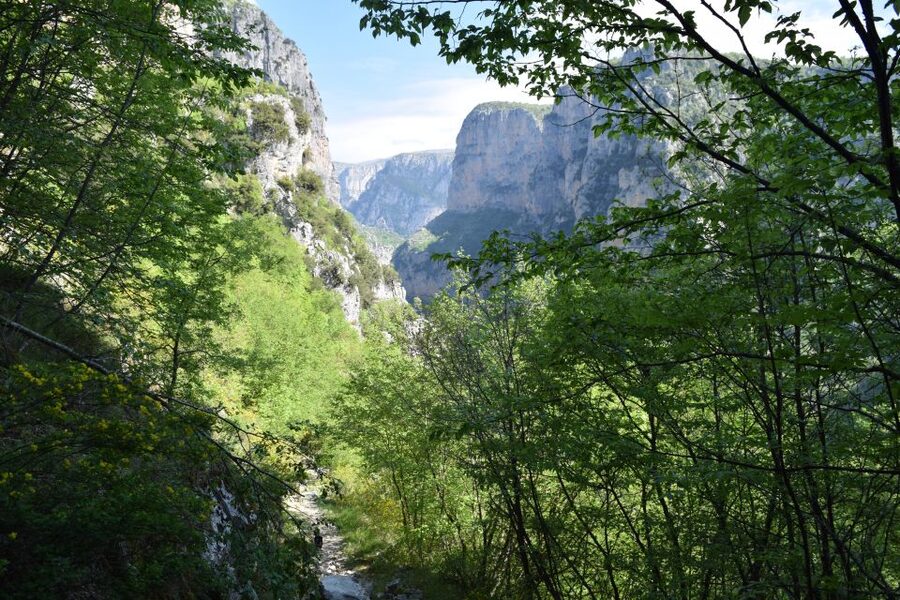 Zagori: Vikos Gorge full-day guided hike - The Voidomatis Springs and the cold-water challenge