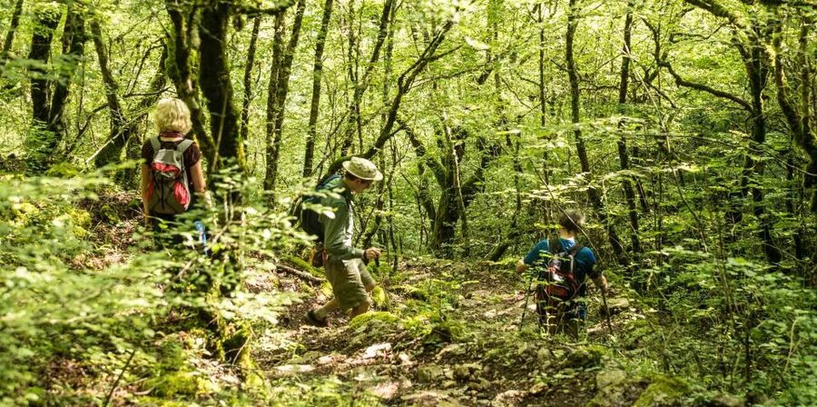 Zagori: Vikos Gorge full-day guided hike - Who should book this hike?